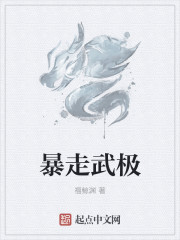 暴走武极