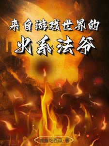  来自游戏世界的火系法爷