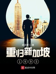  重归新加坡1995